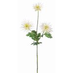 Crisantemo di plastica SOLVIE, crema, 70cm, Ø10cm