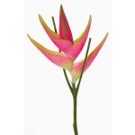 Speronella finta TOMKE, rosa-verde, 80cm, Ø30cm