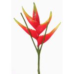 Speronella finta TOMKE, rosso-verde, 80cm, Ø30cm