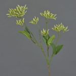 Ramo decorativo di corniolo JOSIA con boccioli, bianco-verde, 50cm