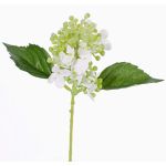 Ortensia finta CHABY, bianco-verde, 30cm, Ø9cm