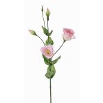 Lisianthus finto JUDIKA, rosa, 70cm, Ø5cm