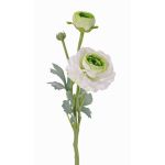Ranuncolo di plastica YAKIRA, bianco-verde, 40cm, Ø4-9cm