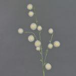 Allium finto EMRAH, crema, 80cm, Ø2-4cm