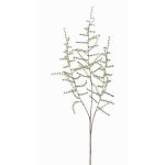 Ramo finto di Asparagus acutifolius JOCHEN, verde, 70cm