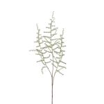 Ramo finto di Asparagus acutifolius HANS, verde, 70cm
