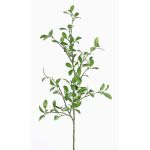 Ramo di ligustro finto MENZEL, verde, 105cm