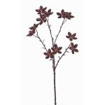 Ramo di anice stellato in plastica DELANO con frutti, marrone, 60cm