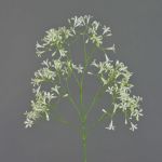 Saxifraga di plastica BOUZA, fioritura, crema, 65cm