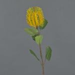 Banksia finta CONAKIR, giallo, 55cm