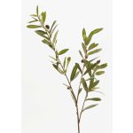 Ramo d'olivo finto PARKER con frutti, 80cm