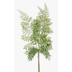 Ramo finto di felce HALIMA, verde, 60cm