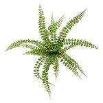 Felce finta BELONA, verde, 50cm