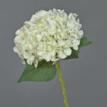 Ortensia finta EGIA, crema, 50cm