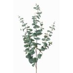Ramo di eucalipto finto CALLIOPE, grigio-verde, 115cm