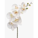 Ramo di orchidea Phalaenopsis di plastica NEITH, bianco, 75cm, Ø7-10,5cm