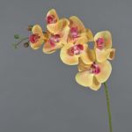 Ramo decorativo di orchidea Phalaenopsis NEITH, rosa-arancione, 85cm