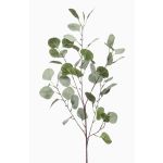 Ramo di eucalipto finto COLTON, verde-grigio, 85cm
