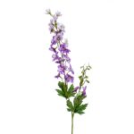 Delphinium artificiale WALIA, viola, 75cm