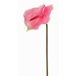 Fiore artificiale "fiore di fenicottero" MOIRA, rosa-fucsia, 75 cm, 13x18 cm