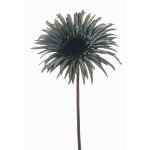 Gerbera artificiale SIEDA, blu-verde, 65 cm, Ø 12 cm