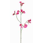 Fiore decorativo Lathyrus ASFALOTH, fucsia, 65cm, Ø3-5cm