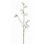 Fiore decorativo Lathyrus ASFALOTH, bianco, 65 cm, Ø 3-5 cm
