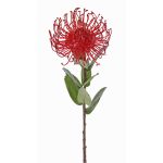 Cuscino porta spilli artificiale Protea BAILY, rosso, 55 cm, Ø 10 cm