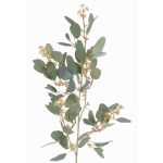 Ramo decorativo di eucalipto COBAR, in fiore, crossdoor, verde, 65cm, Ø1,5cm