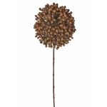 Allium finto BOCELLI, marrone, 70cm, Ø14cm