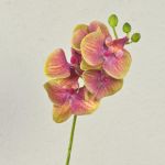 Ramo decorativo di orchidea Phalaenopsis OPHELIA, fucsia-verde, 40cm, Ø7-8cm