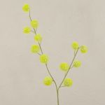 Ramo decorativo Gomphocarpus ELAENA, frutti, verde, 100 cm