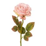 Fiore decorativo rosa DRINT, effetto secco, rosa, 60cm, Ø10,5cm