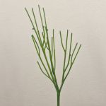 Künstliche Bleistiftpflanze BENEDETTO, grün, 50cm