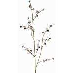 Ramo decorativo Stirlingia latifolia COLLAN, bianco e nero, 75 cm, Ø 1 cm
