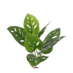 Kunst Philodendron Monstera adansonii SOANN, Steckstab, 30cm