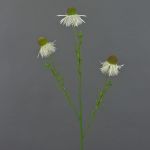 Ramo di echinacea artificiale CELIO, color crema, 70 cm, Ø 6-7 cm