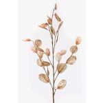 Kunstzweig Lunaria BUELNA, hellbraun, 105cm