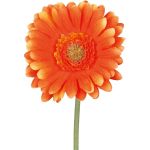 Gerbera artificiale TUNZA, arancione, 50cm