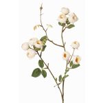 Ramo di rose cavolo artificiali LORRAINE, Eco Collection, crema-giallo, 60cm, Ø3cm