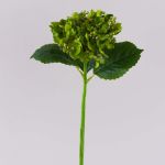 Ortensia sintetica MYNMAR, verde, 35cm, Ø14cm