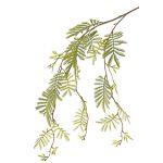Künstlicher Mimosen Zweig ELPIDA, grün, 110cm
