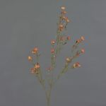 Fiore artificiale in cera NIANG, arancione-rosso, 80cm, Ø1,5-2,5cm