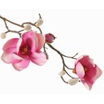Ramo decorativo di magnolia KOSTAS, rosa-fucsia, 55 cm, Ø 6-8 cm