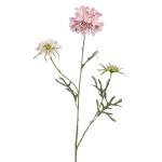 Ramo artificiale di scabiosa MARUA, rosa, 80 cm