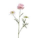 Deko Zweig Scabiosa MARUA, rosa, 80cm