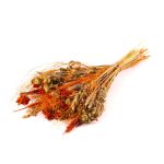 Mazzo di spighe essiccate COVENTINA, arancione-naturale, 65cm, Ø23cm
