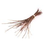 Rametti di quercia KAUKO in mazzo, naturale, 40-70cm