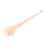 Pfauenfedern NOYANA im Bund, 5 Stück, weiß gebleicht, 65-85cm