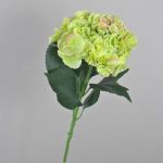 Ortensia artificiale ANGELINA, verde crema, 70cm, Ø23cm